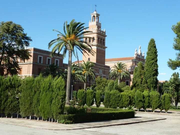 asesoria moncada